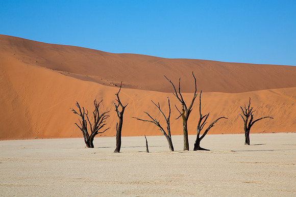 Deadvlei 7 - Copy