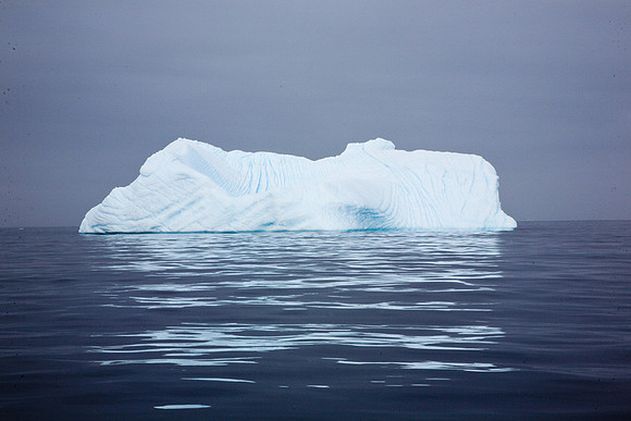 Solitary Iceberg