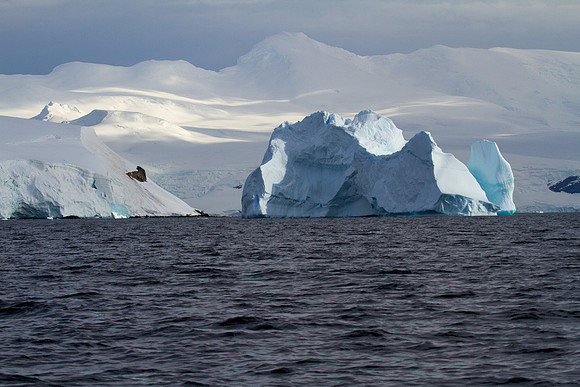 Iceberg #2