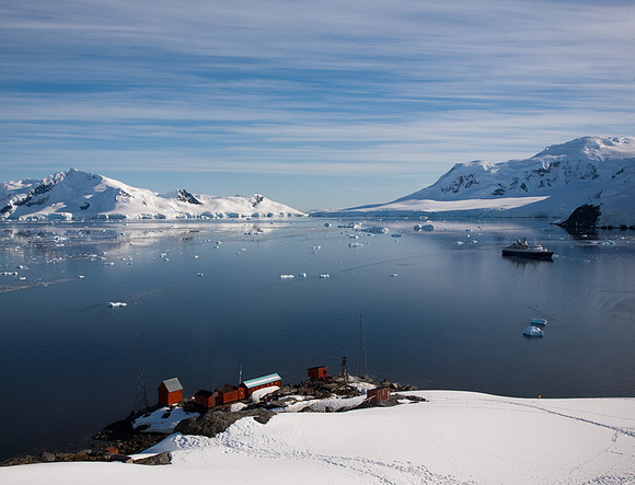 Paradise Harbour #10