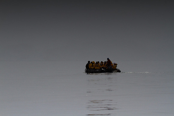 Zodiac in Fog