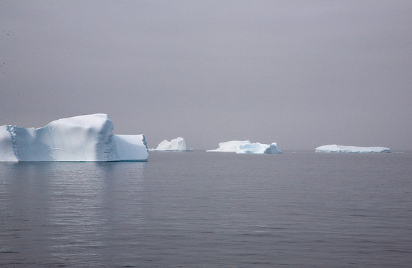 Icebergs in Fog #1