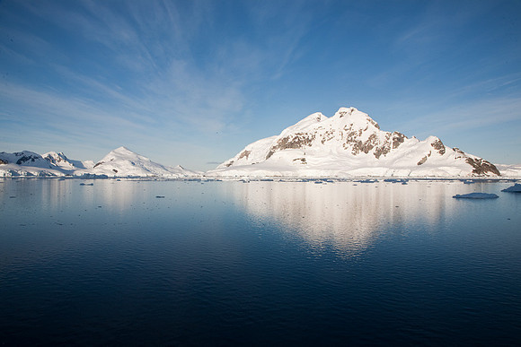 Paradise Harbour #5