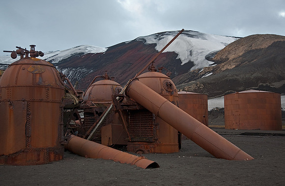 Whaling Station Remains #1